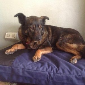 Meet your Posher, Nerida